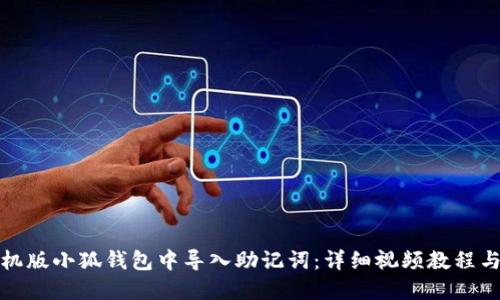 如何在手机版小狐钱包中导入助记词:详细视频教程与实用技巧