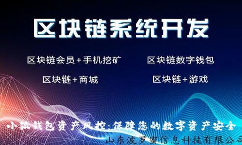 小狐钱包资产风控:保障您的数字资产安全