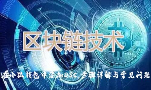 如何在小狐钱包中添加DSC,步骤详解与常见问题解答