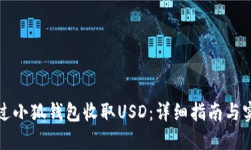 如何通过小狐钱包收取USD:详细指南与实用技巧