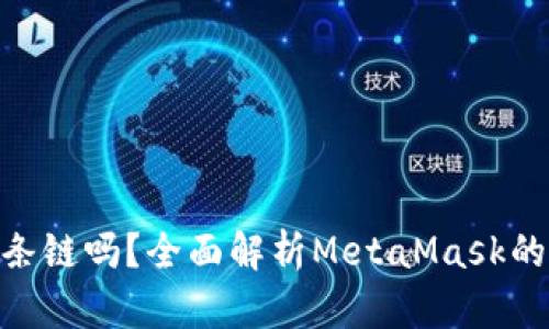 MetaMask支持多条链吗？全面解析MetaMask的链支持与使用方法