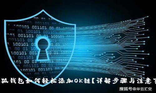  小狐钱包如何轻松添加OK链？详解步骤与注意事项