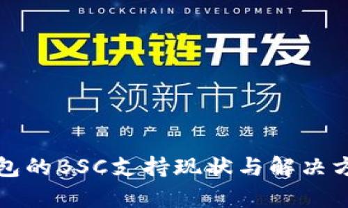 小狐钱包的BSC支持现状与解决方案分析