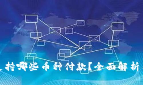 小狐钱包支持哪些币种付款?全面解析与使用指南