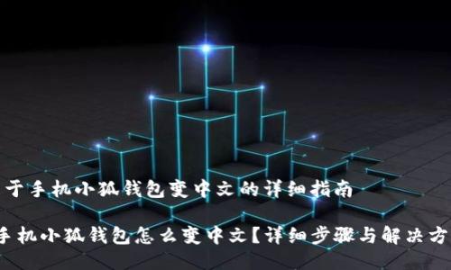 关于手机小狐钱包变中文的详细指南

 手机小狐钱包怎么变中文？详细步骤与解决方案