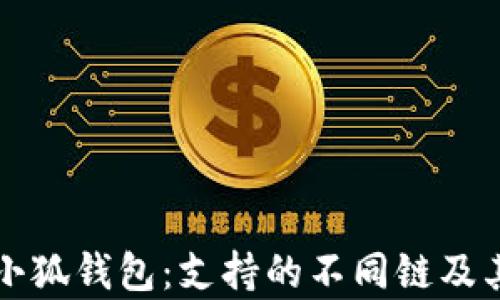 
全面解析小狐钱包：支持的不同链及其币种一览