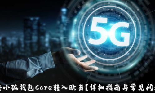 
如何将小狐钱包Core转入欧易？详细指南与常见问题解答