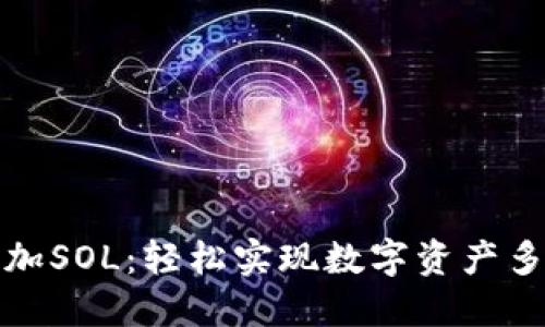 和关键词

小狐钱包加SOL：轻松实现数字资产多元化管理