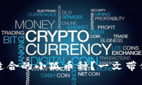 如何选择适合的小狐币种？一文带你全面了解