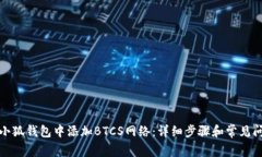 如何在小狐钱包中添加BTCS网络：详细