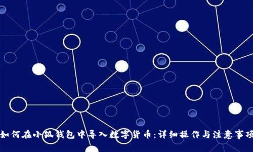 如何在小狐钱包中导入数字货币:详细操作与注意事项
