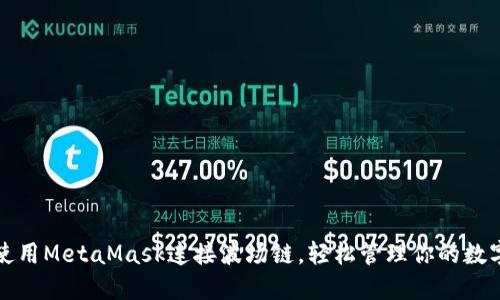 如何使用MetaMask连接波场链,轻松管理你的数字资产
