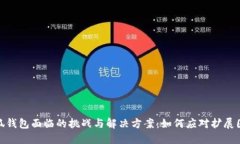 小狐钱包面临的挑战与解决方案：如何