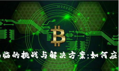 小狐钱包面临的挑战与解决方案:如何应对扩展困境