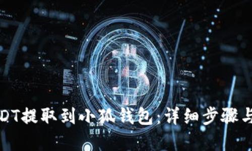 如何将USDT提取到小狐钱包:详细步骤与实用技巧