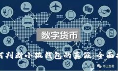 如何判断小狐钱包的真假：全面指南