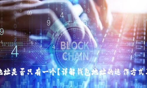 小狐钱包地址是否只有一个?详解钱包地址的运作方式及常见问题