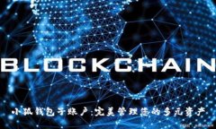 小狐钱包子账户：完美管理您的多元资