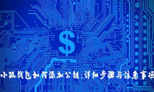 小狐钱包如何添加公链:详细步骤与注意事项