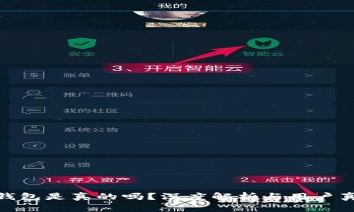 : 小狐钱包是真的吗?深度解析与用户真实反馈