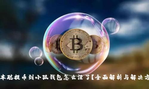 中本聪提币到小狐钱包怎么没了?全面解析与解决方案