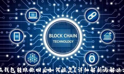小狐钱包转账撤回后如何恢复?详细解析与解决方案