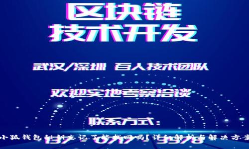 小狐钱包秘钥忘记了能找回吗？详细解析与解决方案