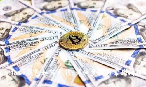 MetaMask钱包如何充钱：详细步骤与常见问题解答