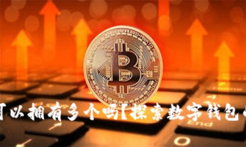 小狐钱包可以拥有多个吗？探索数字钱包的多重管理