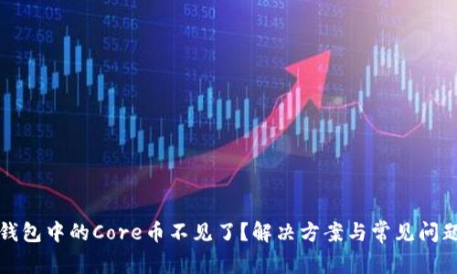 小狐钱包中的Core币不见了？解决方案与常见问题解析