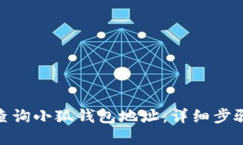 : 如何快速查询小狐钱包地址：详细步骤与实用技巧